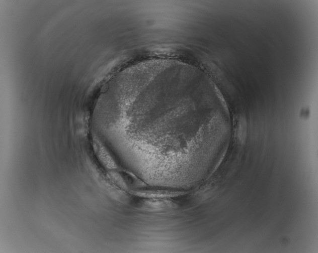 X0000113000712200909171406