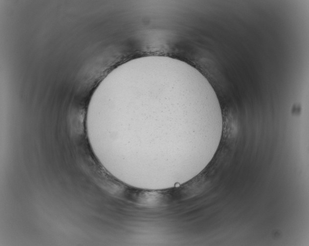 X0000113000717200909171406