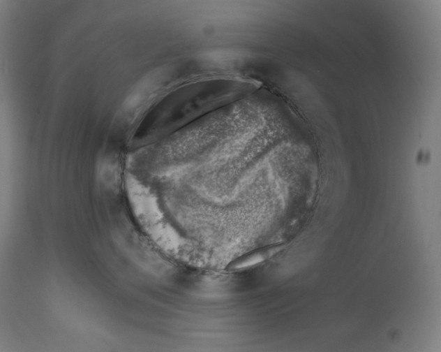 X0000113000720200909171406