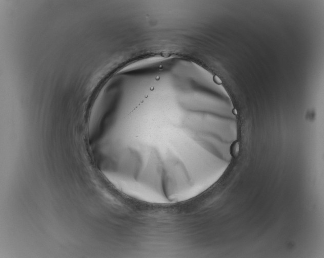 X0000113000721200909171405