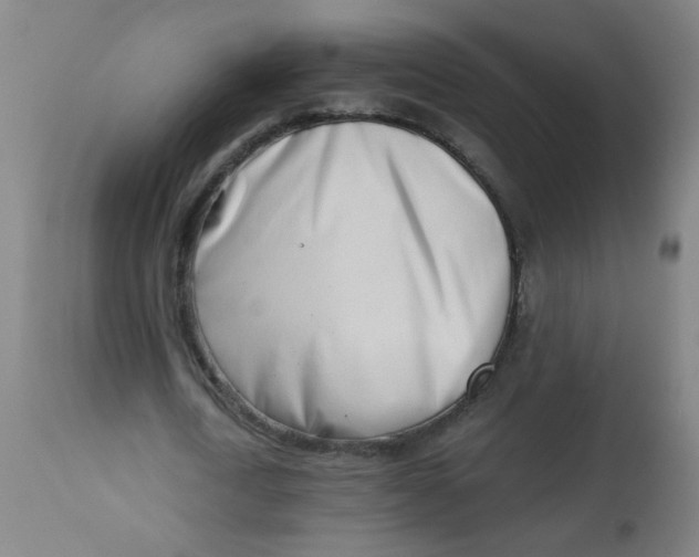 X0000113000722200909171405