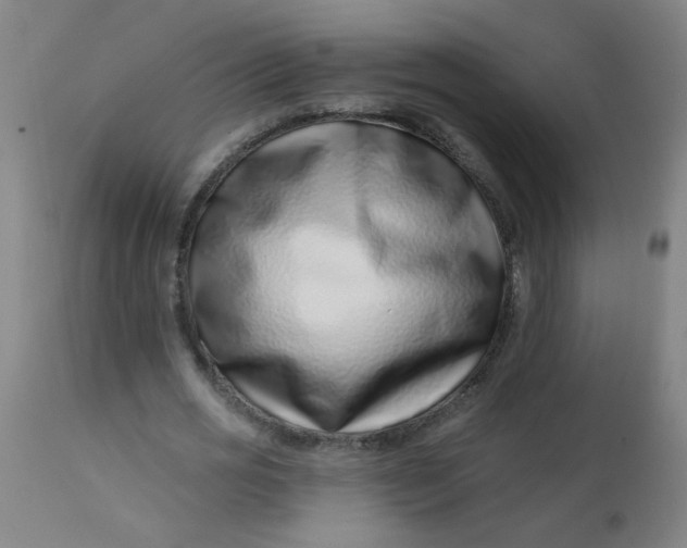 X0000113000725200909171405