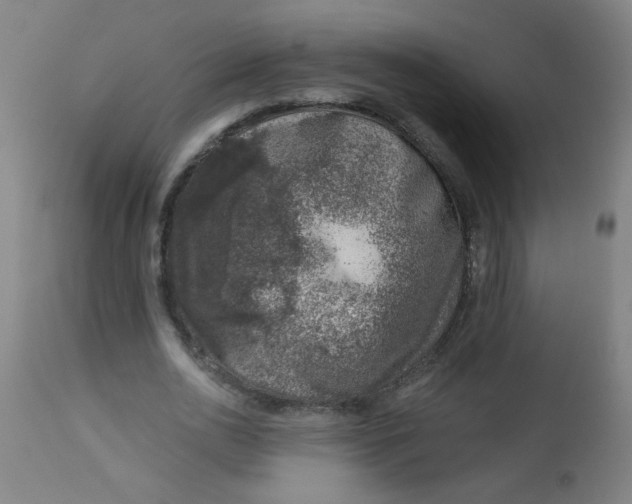 X0000113000726200909171406