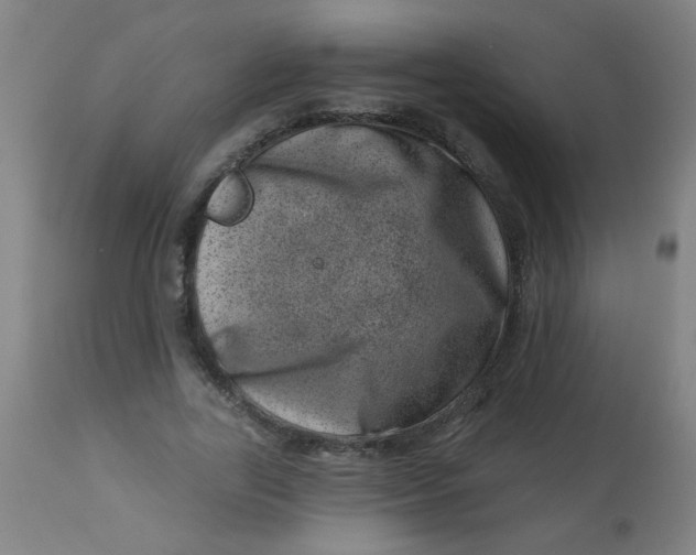 X0000113000731200909171406