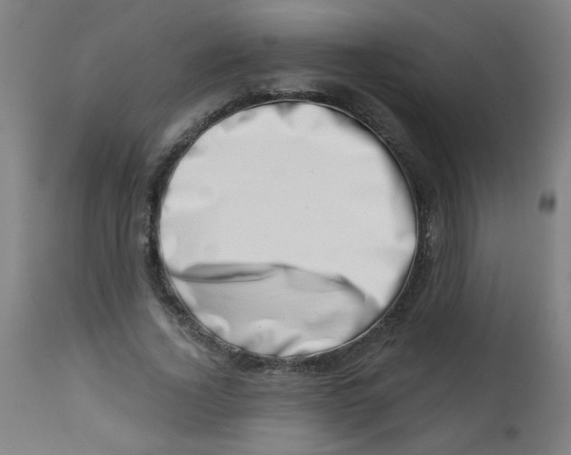 X0000113000732200909171406