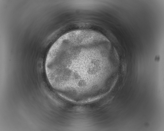 X0000113000733200909171406