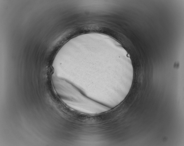 X0000113000735200909171406