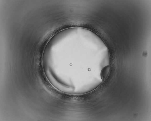 X0000113000736200909171406