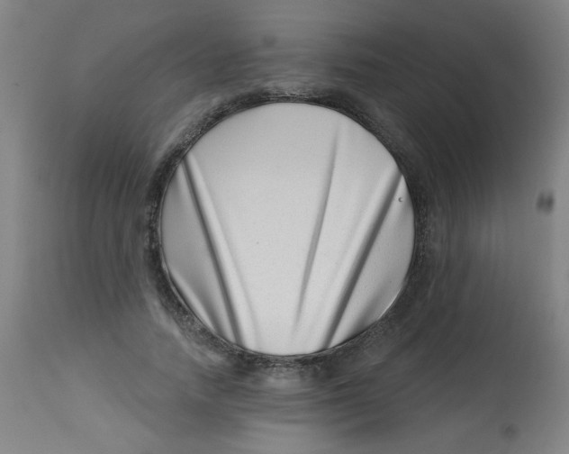 X0000113000738200909171406