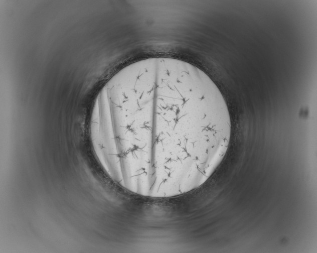 X0000113000739200909171406