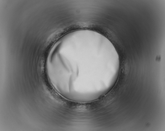 X0000113000740200909171406