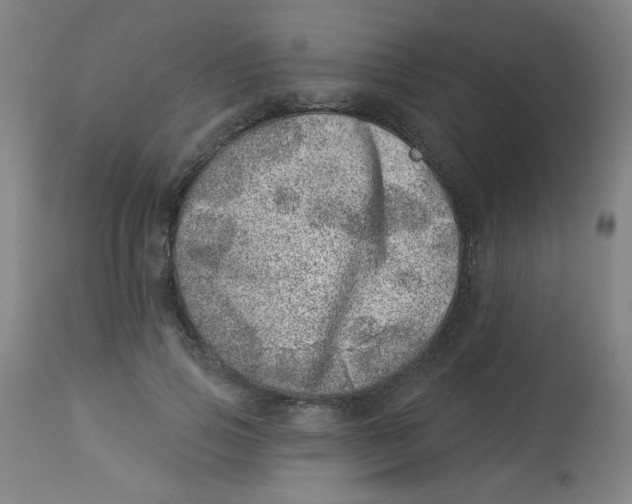 X0000113000741200909171406