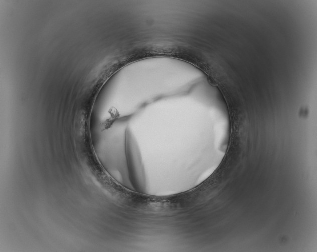 X0000113000744200909171406