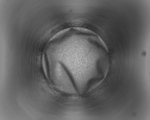 X0000113000745200909171406