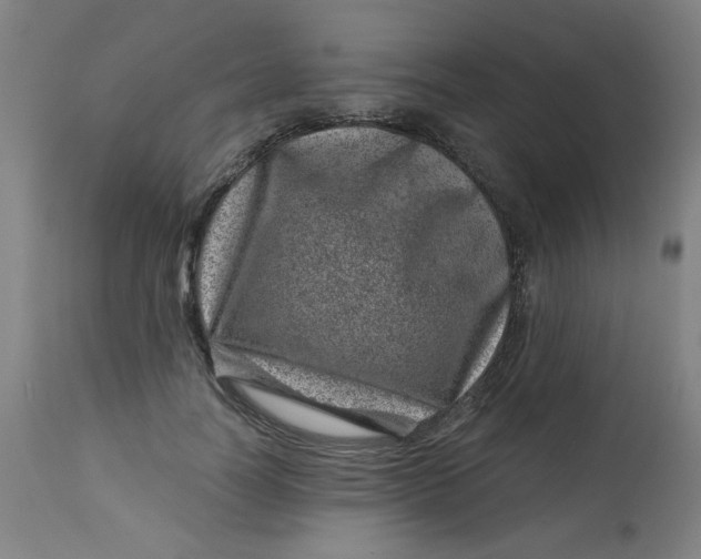 X0000113000746200909171406