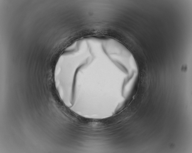 X0000113000748200909171406