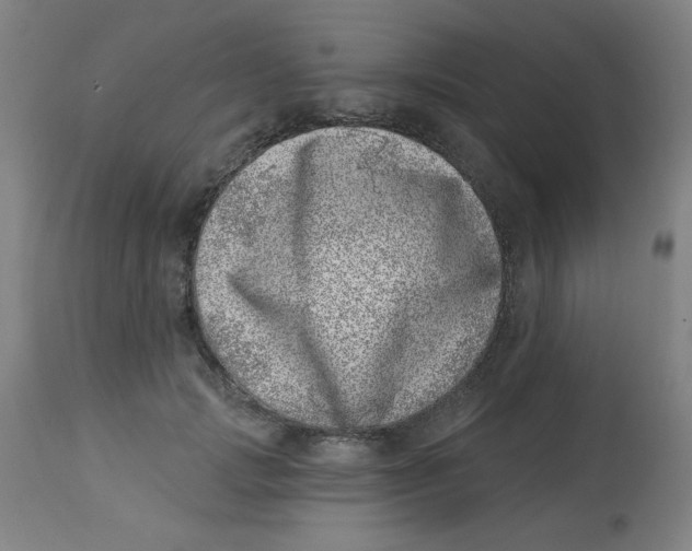 X0000113000749200909171406