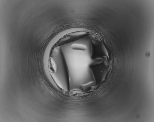 X0000113000750200909171406