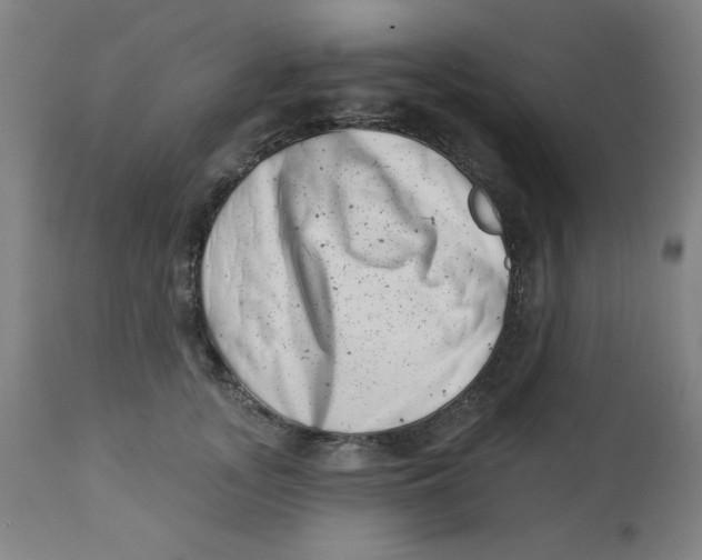 X0000113000755200909171406