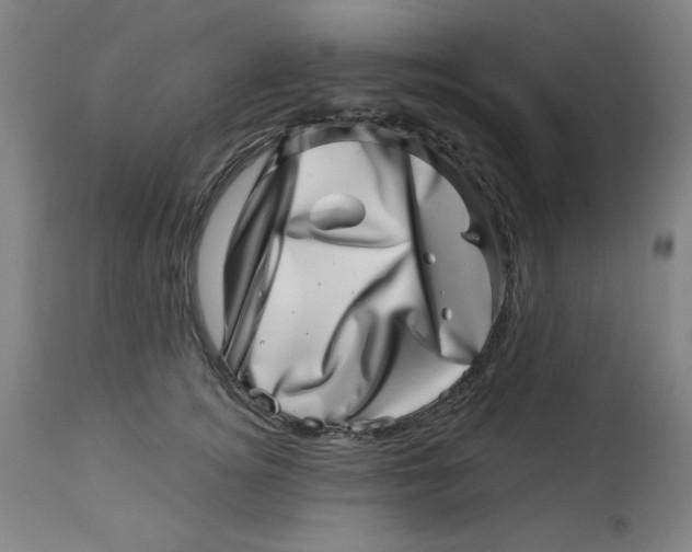 X0000113000756200909171406