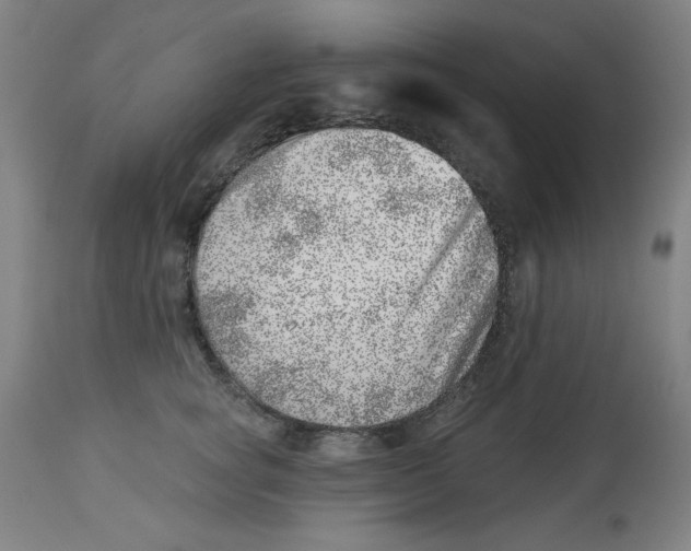 X0000113000757200909171406