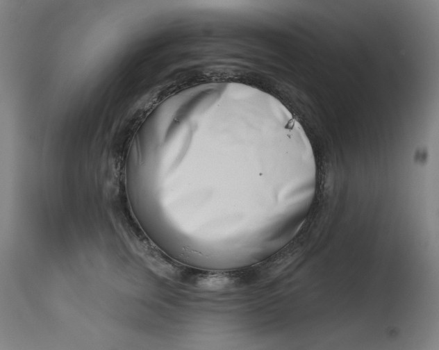 X0000113000759200909171406