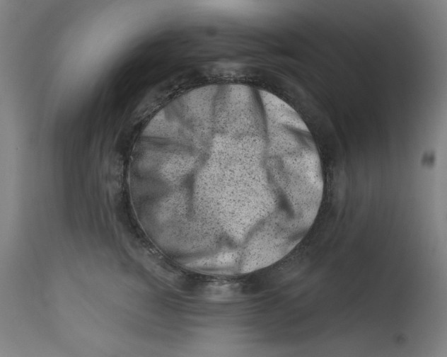 X0000113000760200909171406