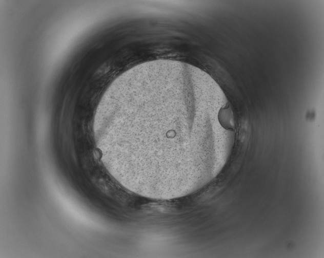 X0000113000763200909171406