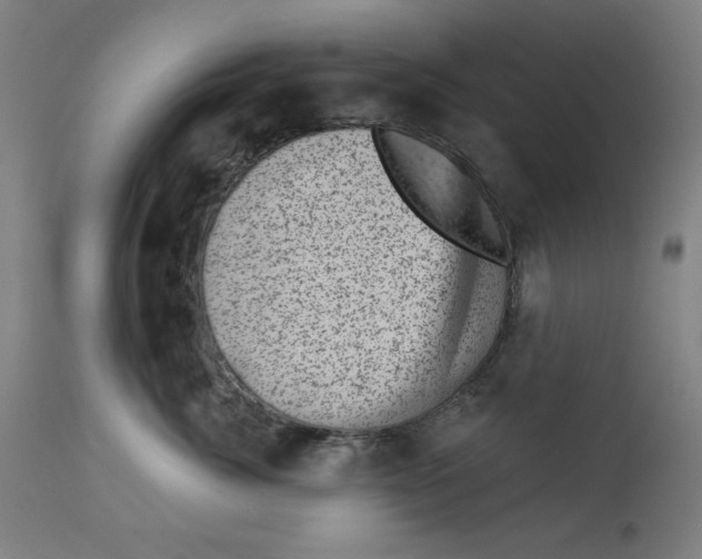 X0000113000764200909171406