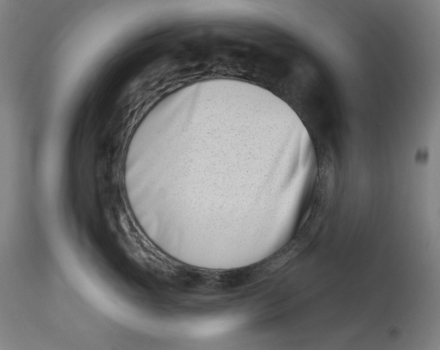 X0000113000765200909171406