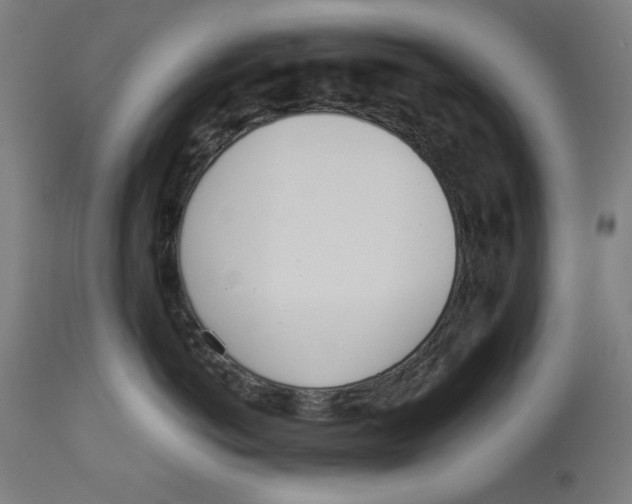 X0000113000766200909171406