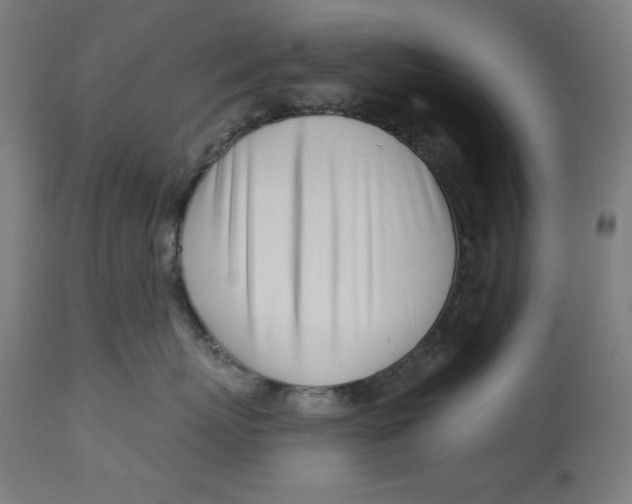 X0000113000767200909171406