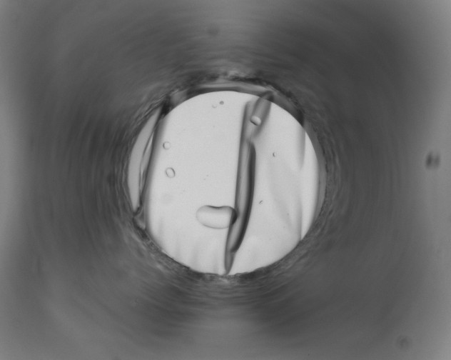 X0000113000768200909171406