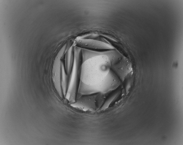 X0000113000769200909171405