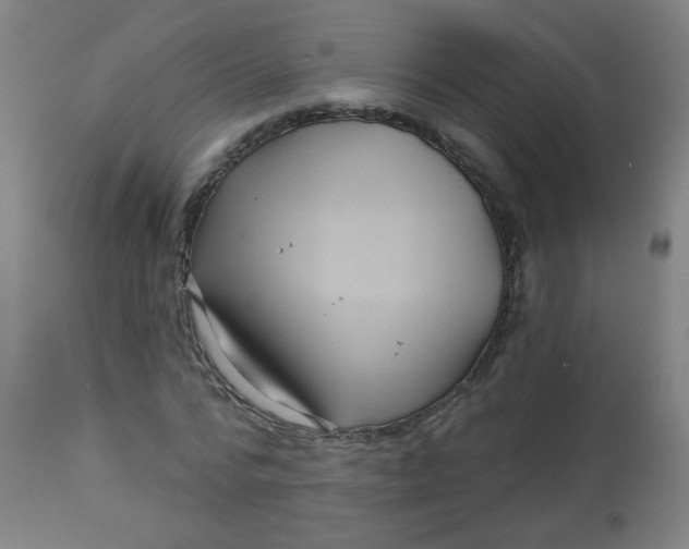 X0000113000776200909171405