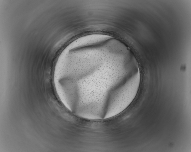 X0000113000778200909171405