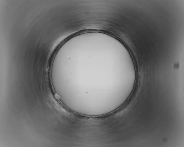 X0000113000779200909171405