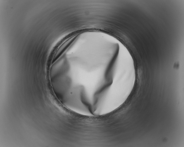 X0000113000780200909171405