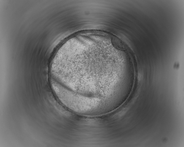 X0000113000781200909171405