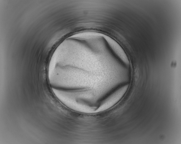 X0000113000782200909171405