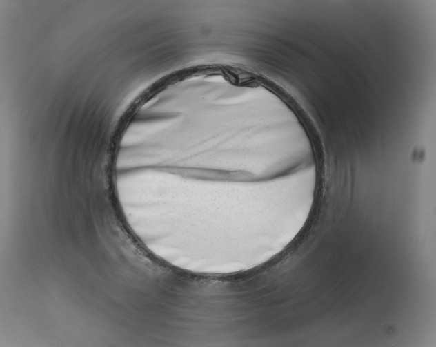 X0000113000783200909171405