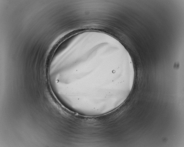 X0000113000784200909171405