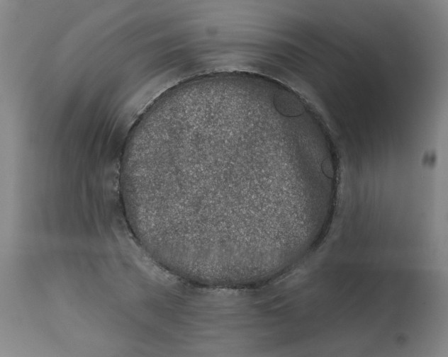 X0000113000785200909171405