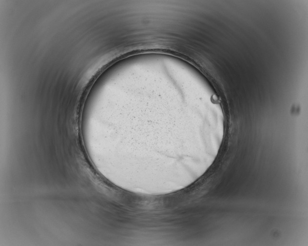 X0000113000789200909171405