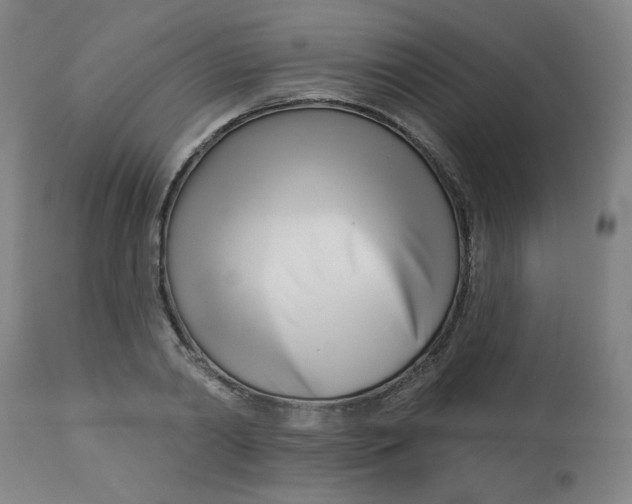 X0000113000790200909171405