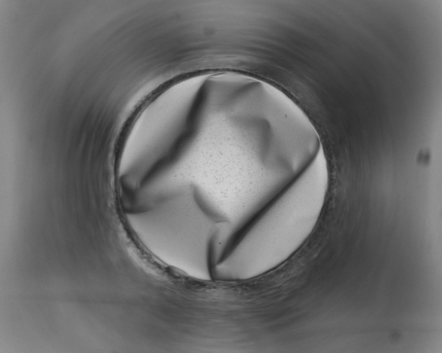 X0000113000792200909171405