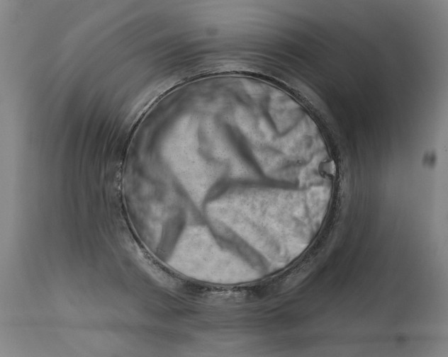 X0000113000793200909171405