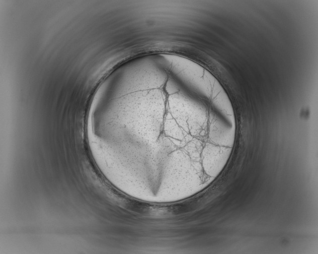 X0000113000794200909171405