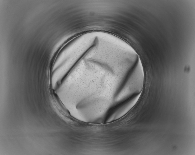 X0000113000796200909171405