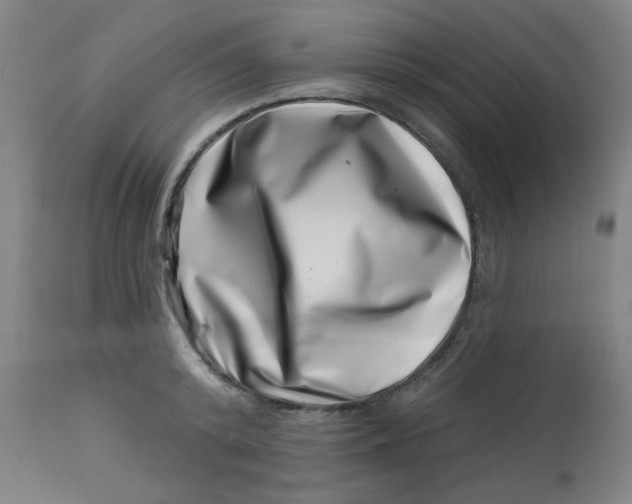 X0000113000800200909171405